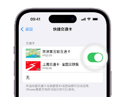 沙县apple维修点分享iPhone上更换Apple Pay快捷交通卡手绘卡面 