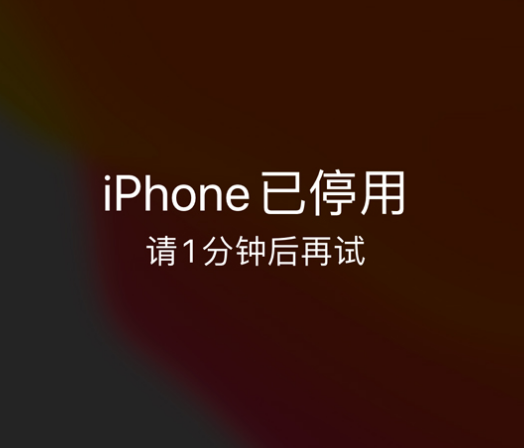 沙县苹果手机维修分享:iPhone 显示“不可用”或“已停用”怎么办？还能保留数据吗？ 