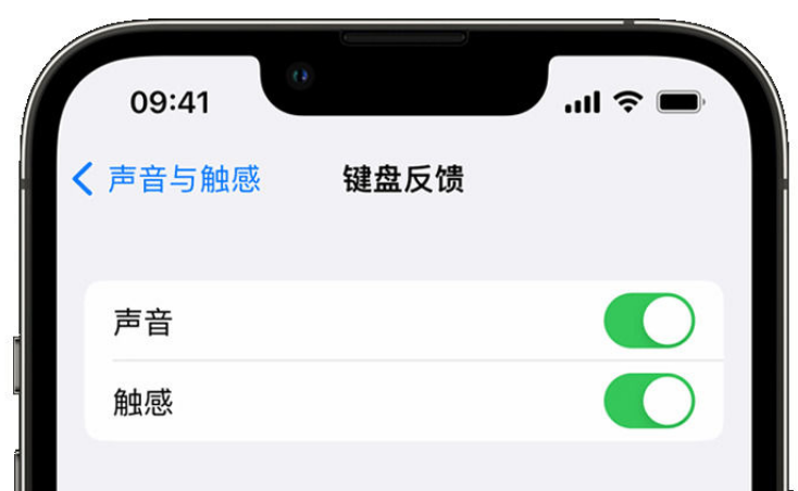 沙县苹果手机维修分享iPhone 14触感键盘使用方法 