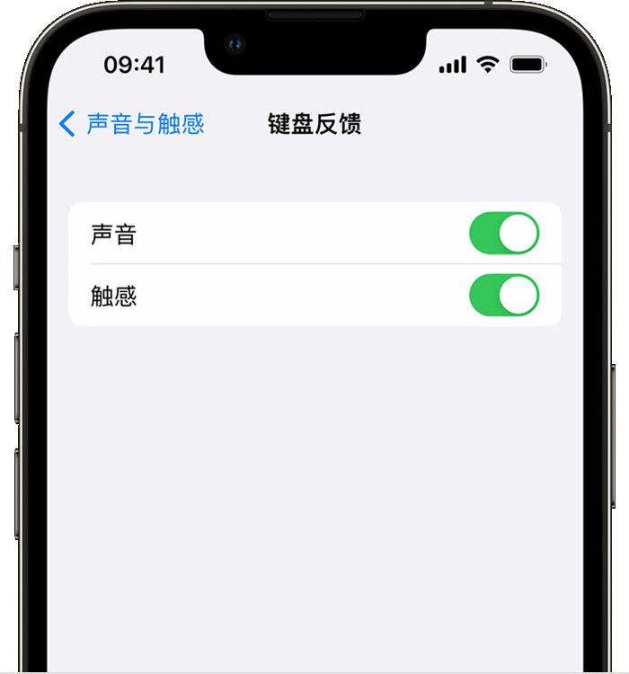 沙县苹果14维修店分享如何在 iPhone 14 机型中使用触感键盘 