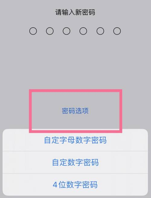 沙县苹果14维修分享iPhone 14plus设置密码的方法 