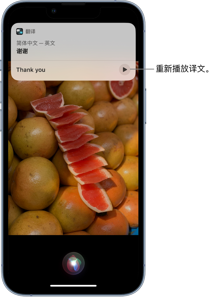 沙县苹果14维修分享 iPhone 14 机型中使用 Siri：了解 Siri 能帮你做什么 