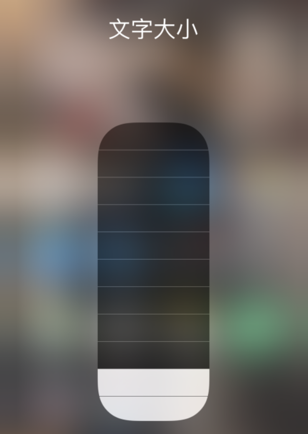 沙县苹果手机维修分享小技巧：在 iPhone 控制中心快速调节字体大小 