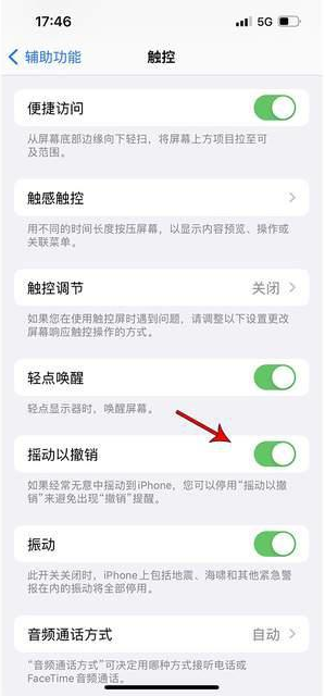 沙县苹果手机维修分享iPhone手机如何设置摇一摇删除文字 